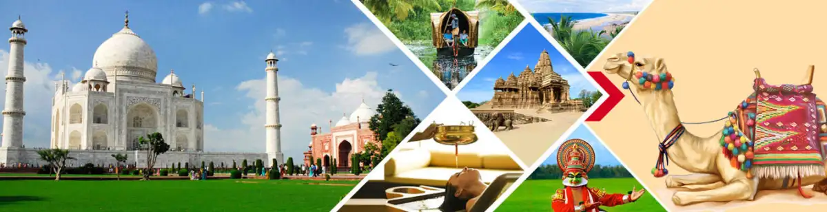 🚘Domestic tours 8 4356domestic