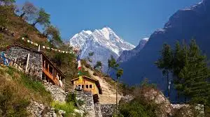 🚘Domestic tours 4 download