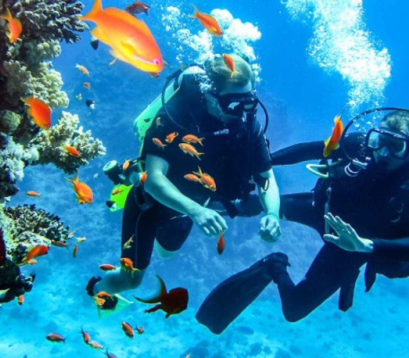 67371b4c75810169_scuba-diving