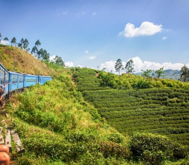 Depositphotos_66721069_XL-960x638