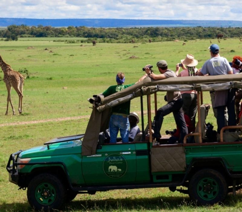Julias-river-camp-game-drives-masaimara