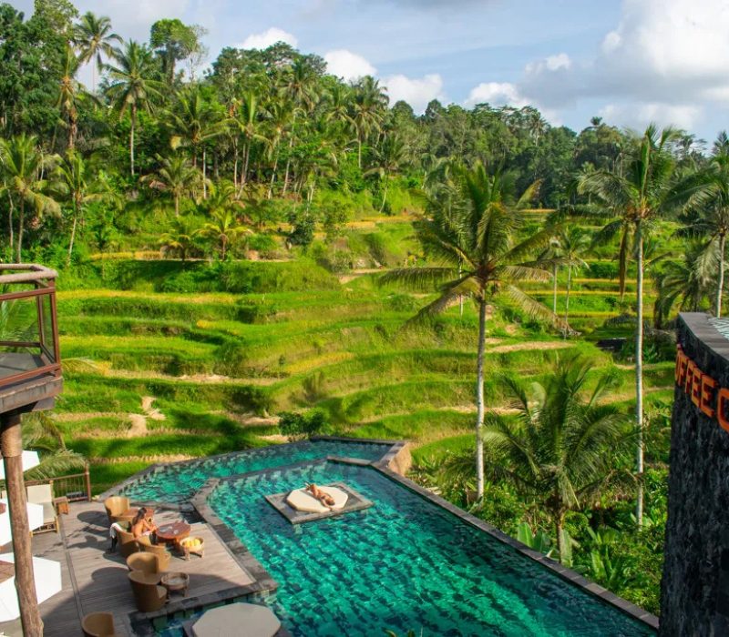 Ubud-jungle-club-terraces-pool