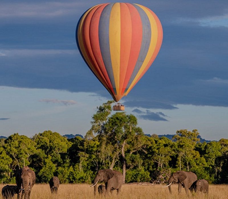 hot air balloon ride in masai mara