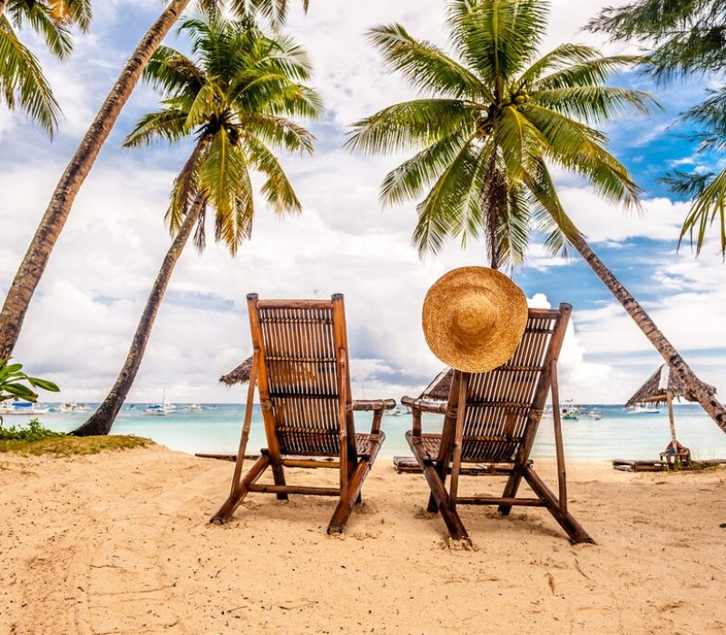 image_processing20231115-2-gq0d7w