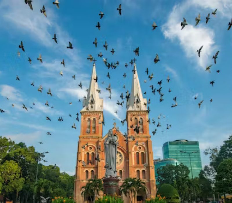 pexels-photo-1018478