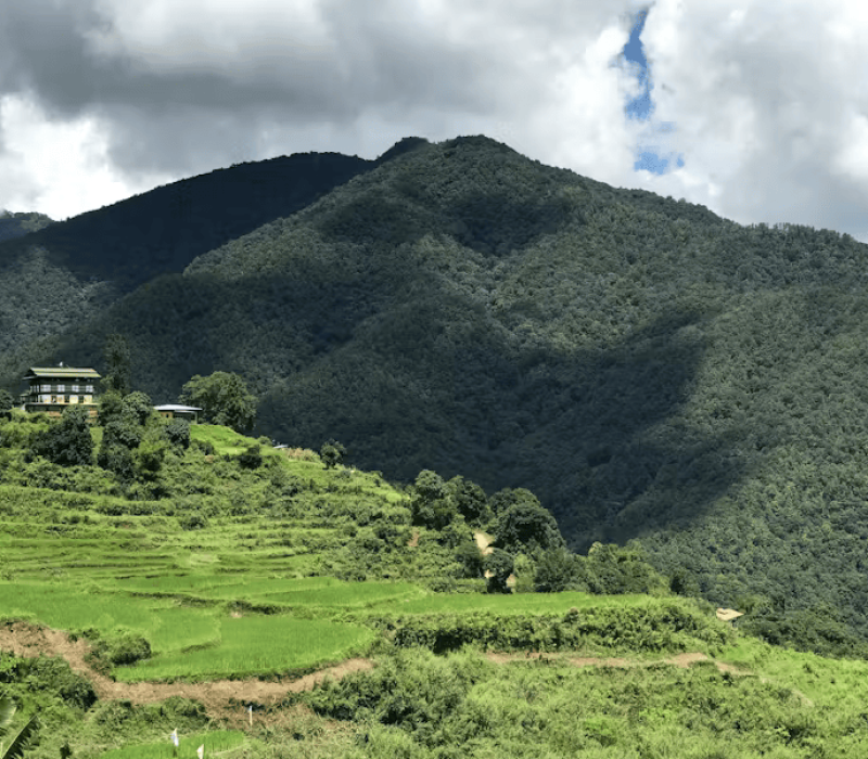 pexels-photo-1089300