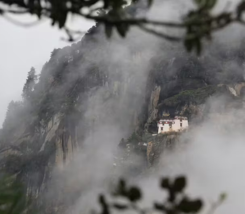 pexels-photo-1089318