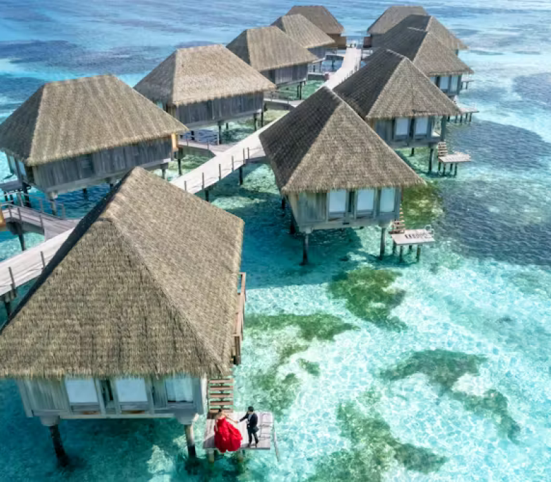 pexels-photo-1287460