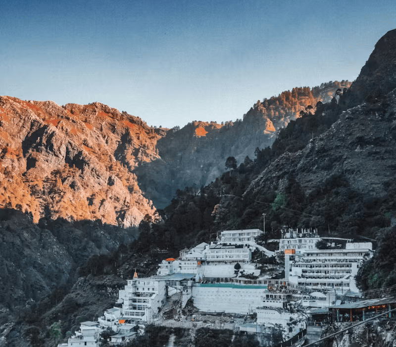 pexels-photo-13081039