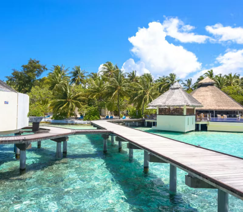 pexels-photo-1320686