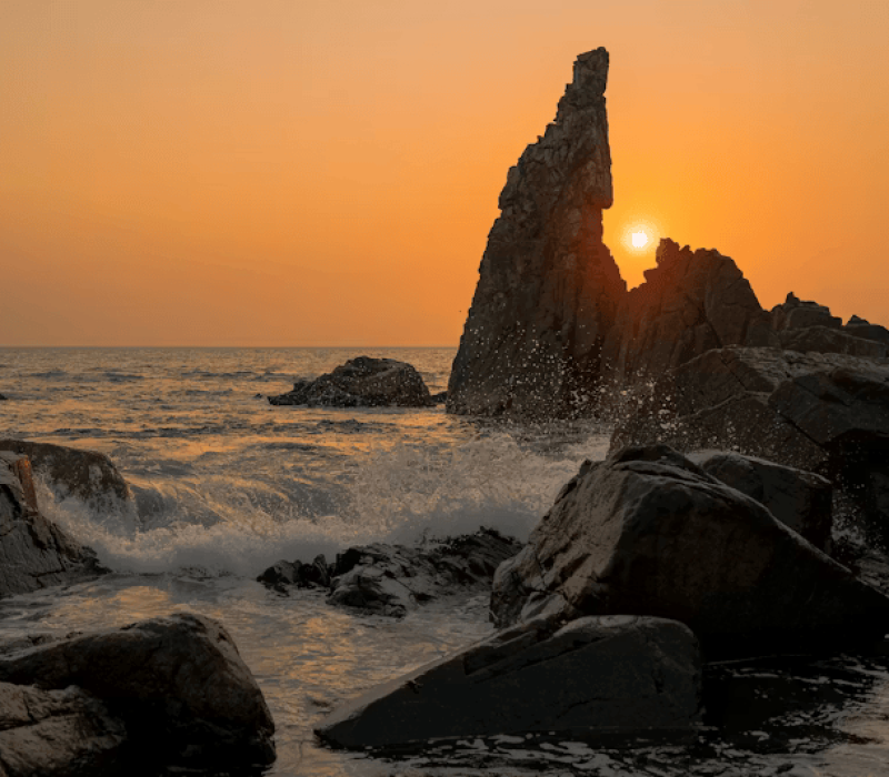 pexels-photo-14384530