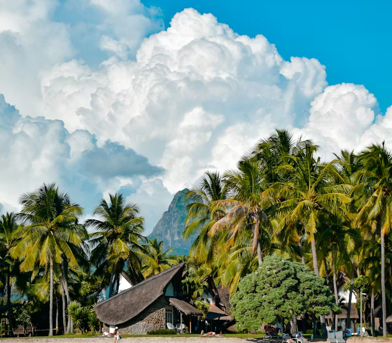 pexels-photo-18069591