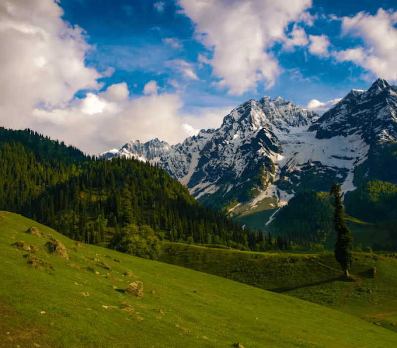 pexels-photo-2445788