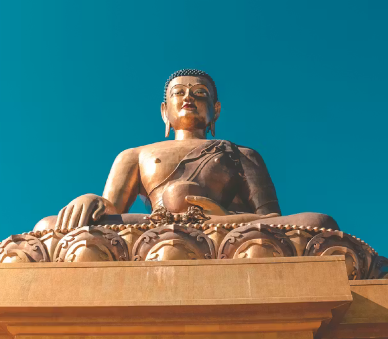 pexels-photo-2810269