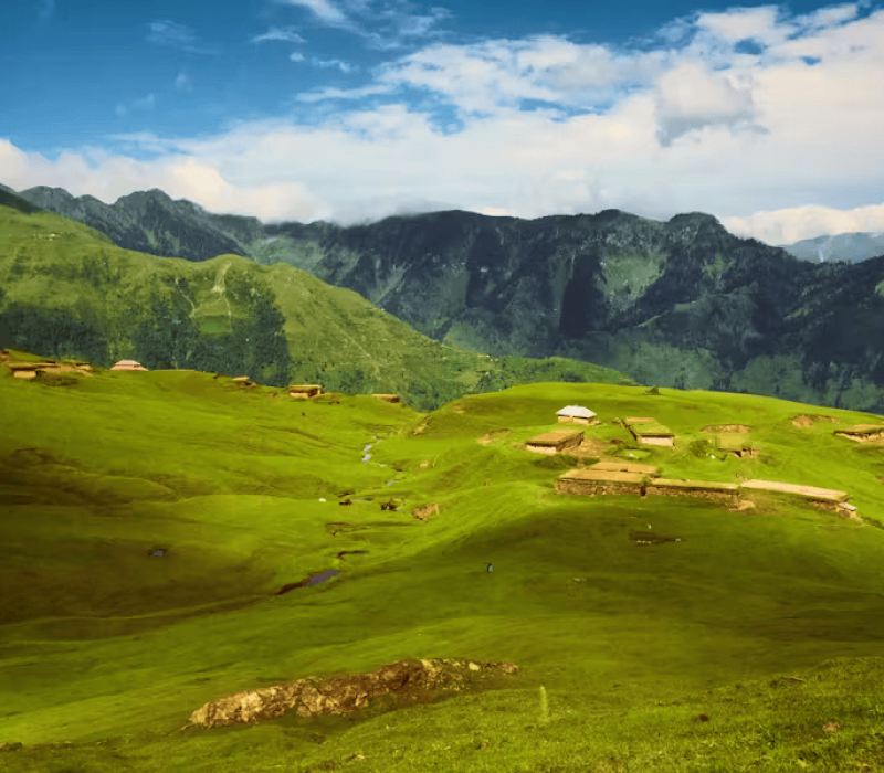 pexels-photo-2907578