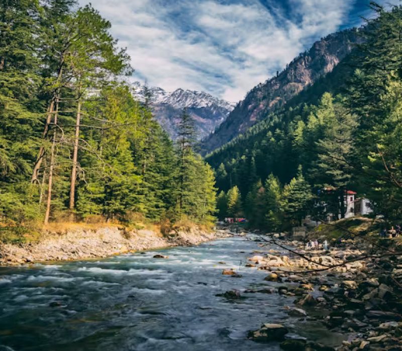 pexels-photo-2961109