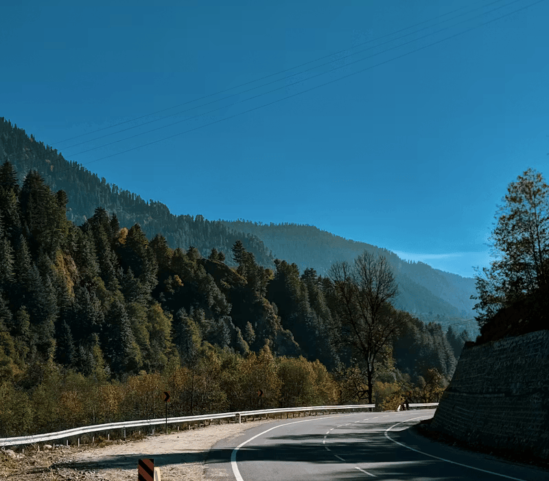 pexels-photo-3276841