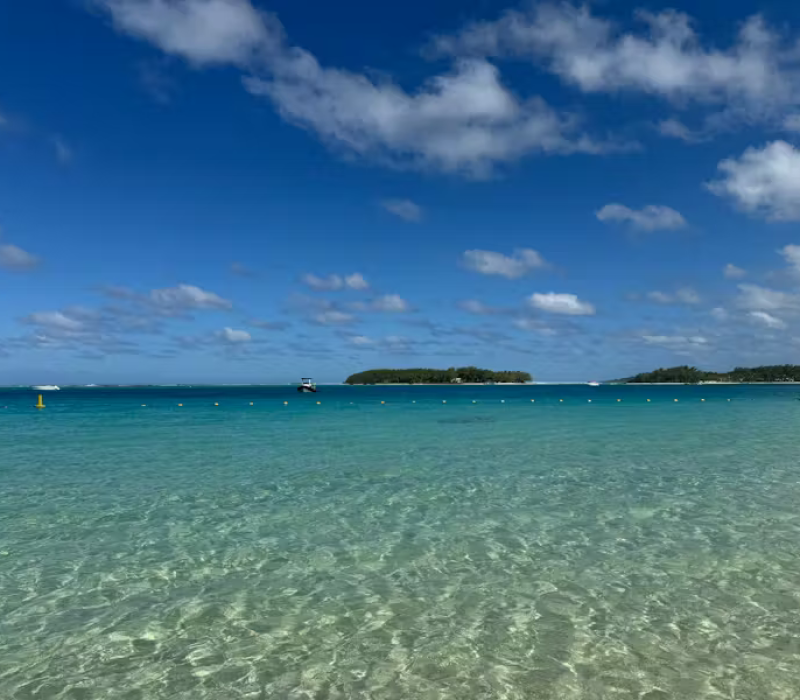 pexels-photo-32866461