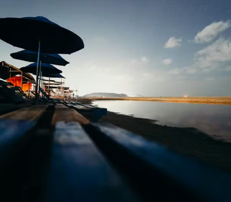 pexels-photo-4428289