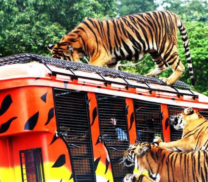 t4qnus7oqsjqp2qzazjh