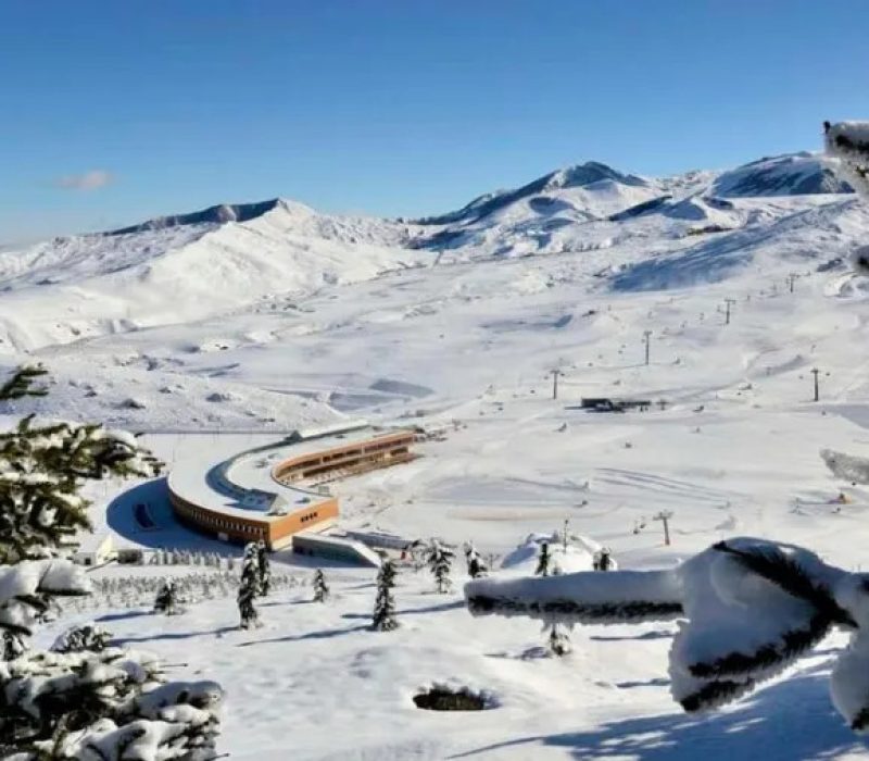 wqmltqdldx93ww0yagjs